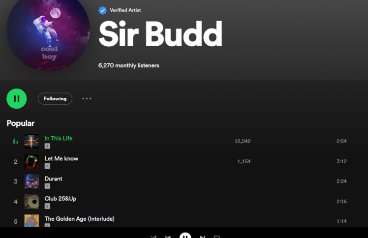 Sir Budd