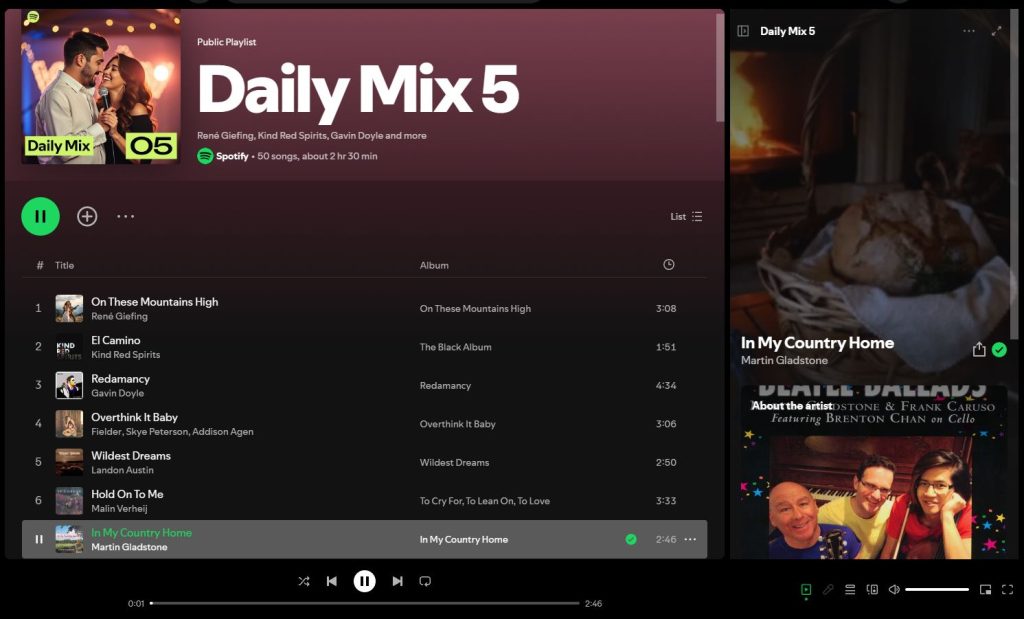 Spotify Algorithmic playlist Daily Mix 5