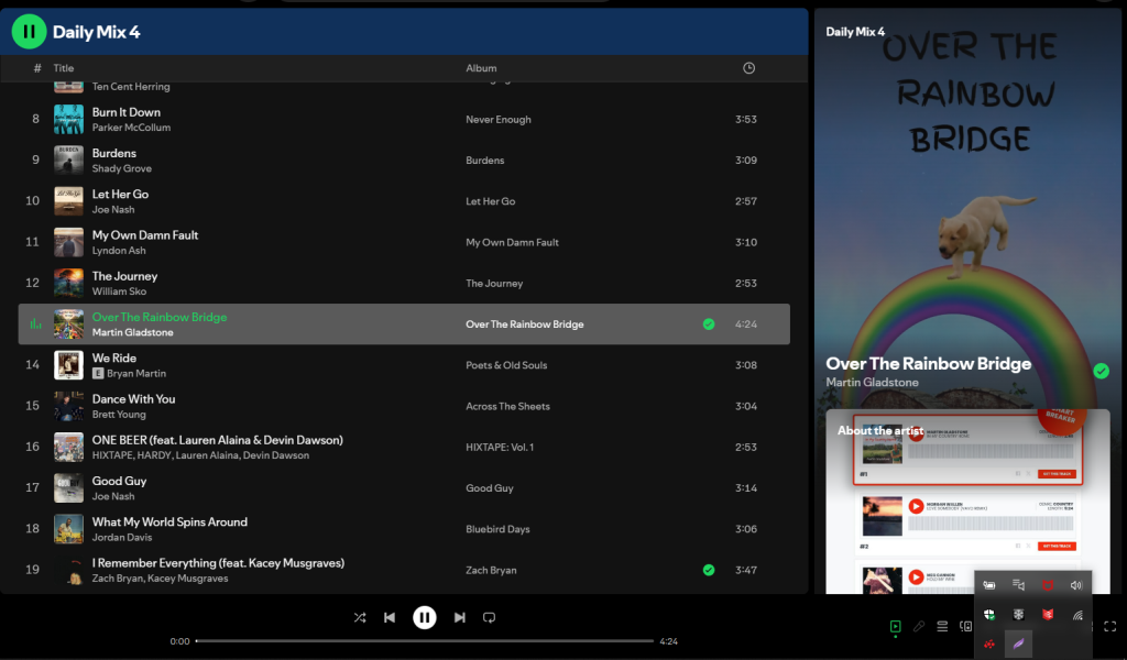 daily mix 4 Spotify playlists