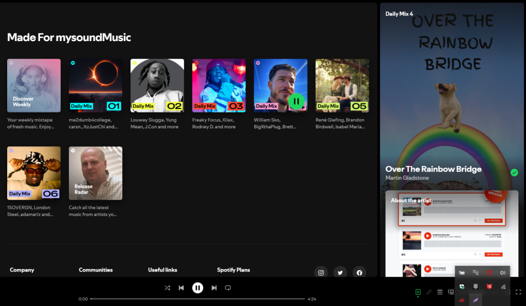 daily mix 4 spotify playlists
