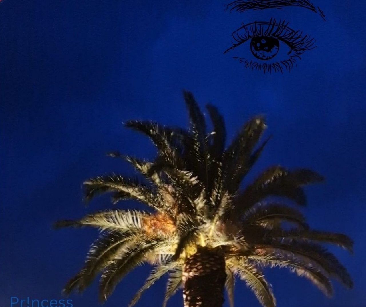 Pr!ncess | song: Blue Sky